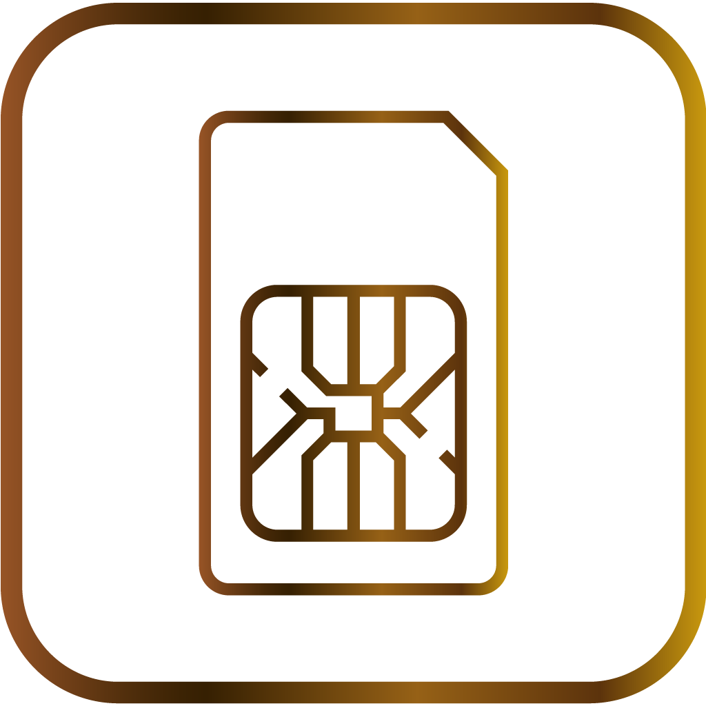 GSM Karte + Update für 12 Monate