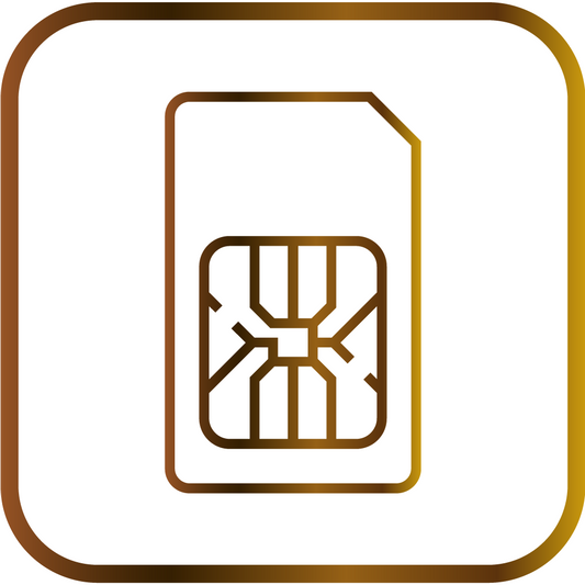 GSM Karte + Update für 12 Monate